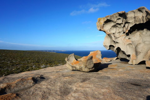 Hanson Bay Cabins - Accommodation in Bendigo 22