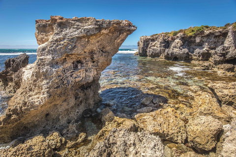 Hanson Bay Cabins - Accommodation in Bendigo 2