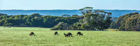 Hanson Bay Cabins - Accommodation in Bendigo 23