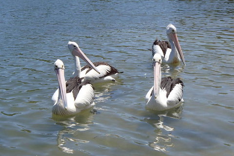 Keith's Sister - Accommodation in Bendigo 42