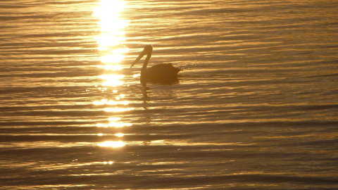 Keith's Sister - Accommodation in Bendigo 44