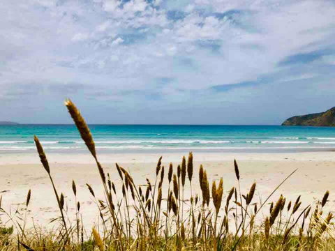 Modern Beach Villa - Accommodation in Bendigo 14