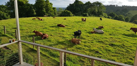 Seasons Of Maleny B&B - Accommodation in Bendigo 1