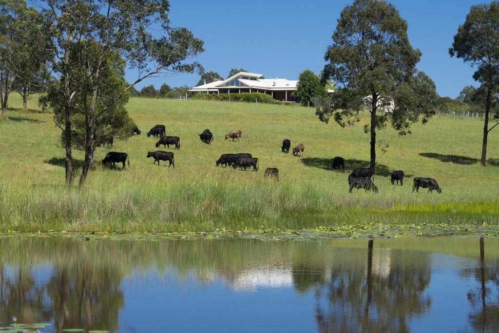 Upper Myall NSW Accommodation in Bendigo