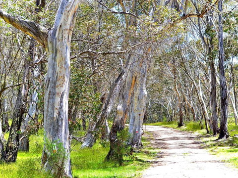 Cabin 3 - Snowy Accommodation - Accommodation in Bendigo 1