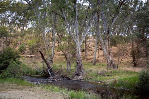 CHARTER FARM - FIND YOUR HAPPY HAMLET - Accommodation in Bendigo 3