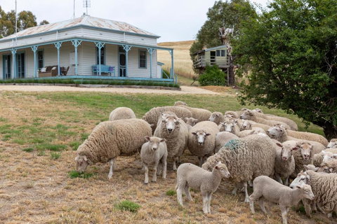 CHARTER FARM - FIND YOUR HAPPY HAMLET - Accommodation in Bendigo 0