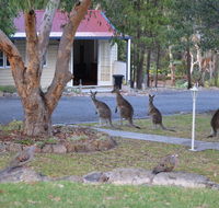 31 The Rocks - Accommodation in Bendigo