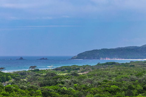 A SWEET ESCAPE - Above Byron - Accommodation in Bendigo 0