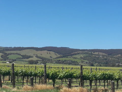A Victor Harbour Retreat Aldinga Tony's Music Cottage - Accommodation in Bendigo 3