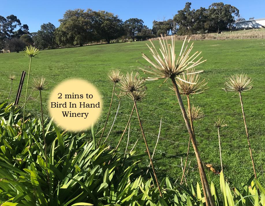 Inverbrackie SA Accommodation in Bendigo