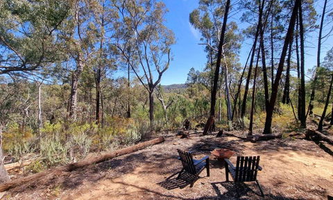 Echidna Ridge By Tiny Away - Accommodation in Bendigo 1