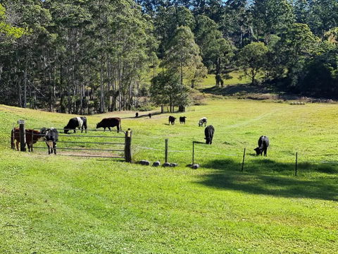 Fiery, Cozy Starry Nights - Farm Stay! - Accommodation in Bendigo 2