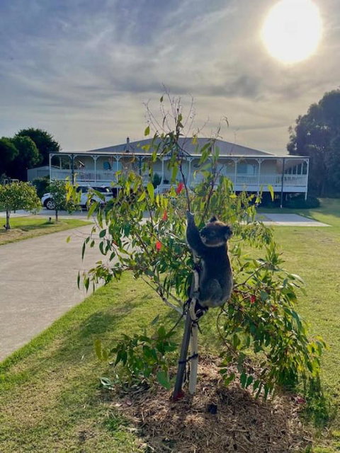 Galbraith Beach Studios - Studio 2 - Accommodation in Bendigo 2