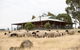 Gilgraves Vineyard Farmstay - thumb 0
