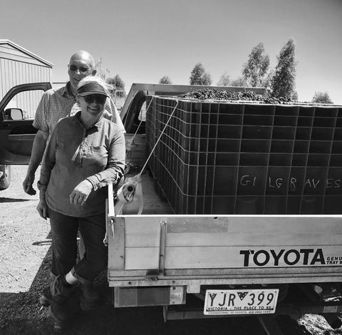 Gilgraves Vineyard Farmstay - Accommodation in Bendigo 4