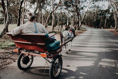 Gums N Roses By Tiny Away - Accommodation in Bendigo 1