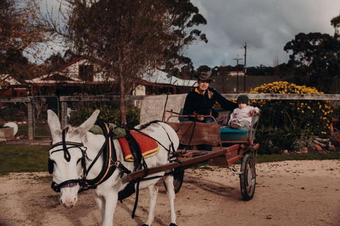 Gums N Roses By Tiny Away - Accommodation in Bendigo 3
