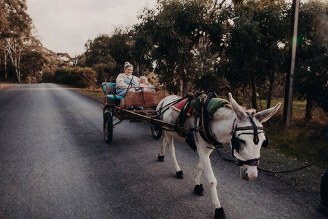 Gums N Roses By Tiny Away - Accommodation in Bendigo 2