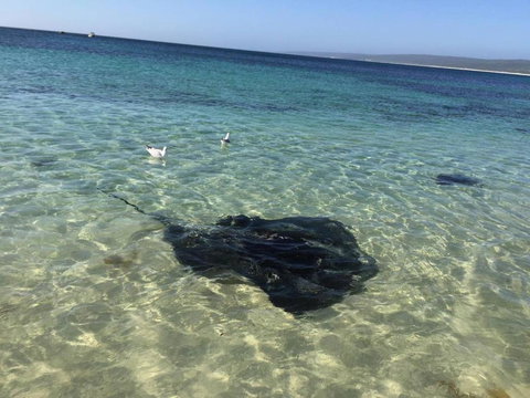 Hamelin Bay Seaclusion - Accommodation in Bendigo 1