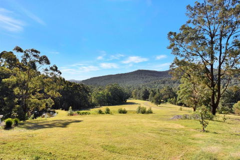 Hunter Valley Kangaroo Retreat With 60 Kangaroos - Accommodation in Bendigo 1
