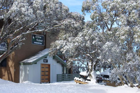 Alpine Retreat Mt Buller - Accommodation in Bendigo 0