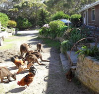 Anchorage Apartments - Accommodation in Bendigo