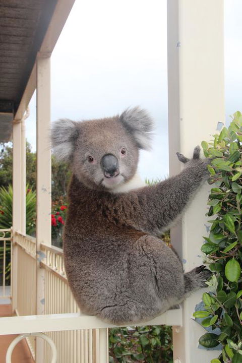 Angela's Beach Stays - Accommodation in Bendigo 3