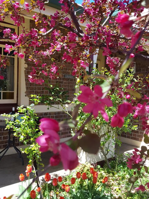 Arden On McLachlan - Accommodation in Bendigo 3
