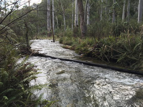 Ariane - Accommodation in Bendigo 3