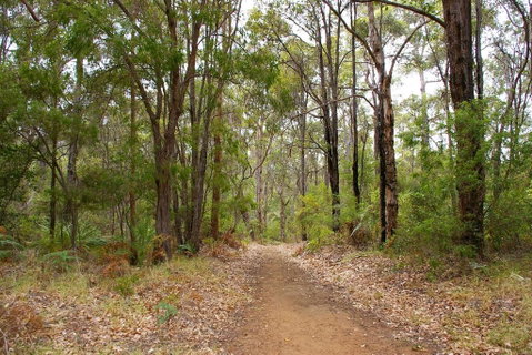 Ashleigh - Accommodation in Bendigo 2
