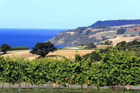Mallavale Farm, Boat Harbour - Accommodation in Bendigo 0