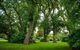 Mallavale Farm, Boat Harbour - thumb 2
