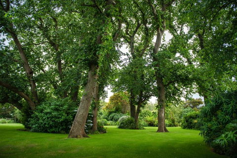 Mallavale Farm, Boat Harbour - Accommodation in Bendigo 2