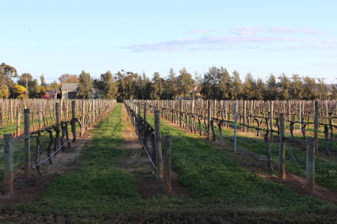 Milawa Vineyard Views - Guesthouse 1 - Accommodation in Bendigo 2