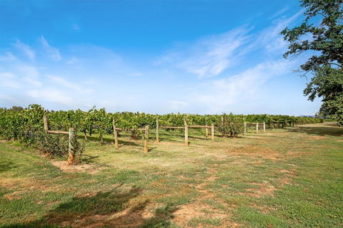 Milawa Vineyard Views - Guesthouse 2 - Accommodation in Bendigo 0