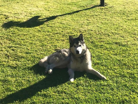 Mountain Culture Farm Stay - Pet Friendly - Accommodation in Bendigo 3