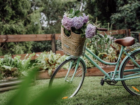 Mountview Alpaca Farmhouse - Accommodation in Bendigo 2