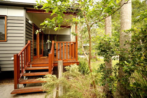 Mt Warning Rainforest Park - Accommodation in Bendigo 0