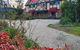 Oaktree Guest House - thumb 1