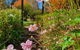Oaktree Guest House - thumb 3