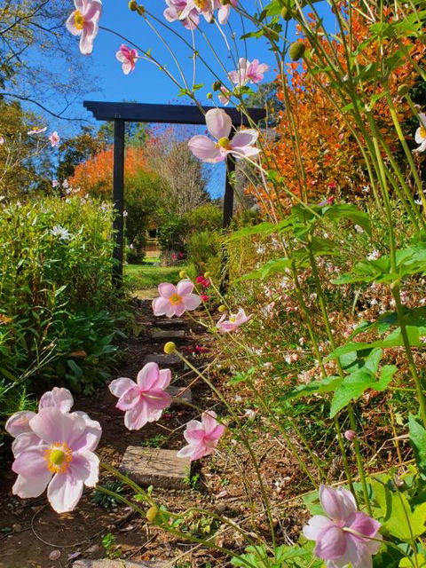 Oaktree Guest House - Accommodation in Bendigo 3