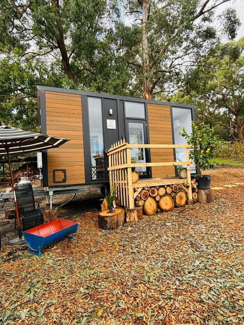 Orange 2 By Tiny Away - Accommodation in Bendigo 2