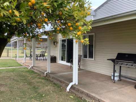 Orange Tree Cottage - Accommodation in Bendigo 0