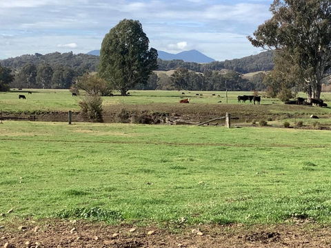 Orange Tree Cottage - Accommodation in Bendigo 3