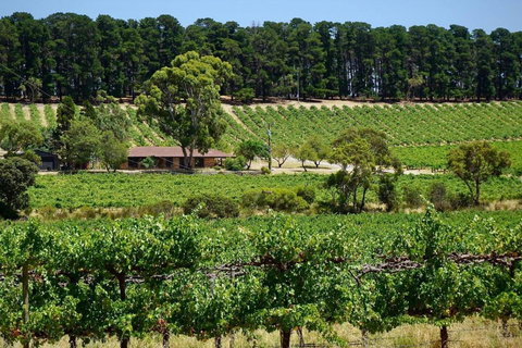 Picturesque Vineyard Farmhouse Nestled On 40-Acres - Accommodation in Bendigo 0