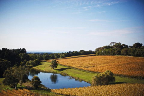 Port Phillip Estate - Accommodation in Bendigo 2