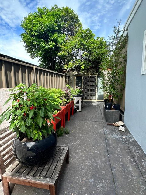 Private, Local Living Studio In Mascot, Airport - Accommodation in Bendigo 2