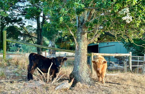 Private, Secluded Farm Retreat - Accommodation in Bendigo 3