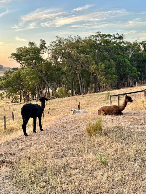 Private, Secluded Farm Retreat - Accommodation in Bendigo 2